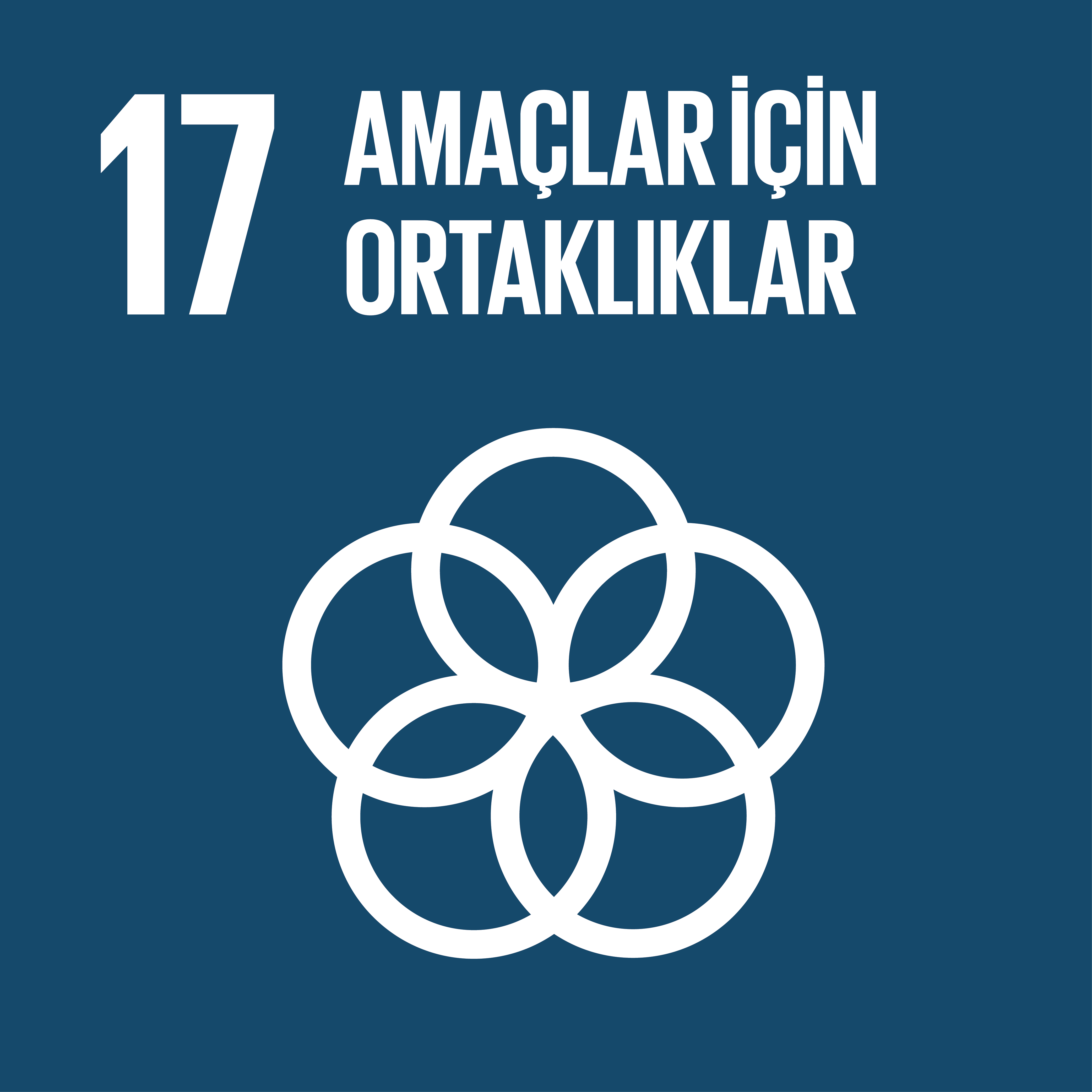 Amaçlar için Ortaklıklar